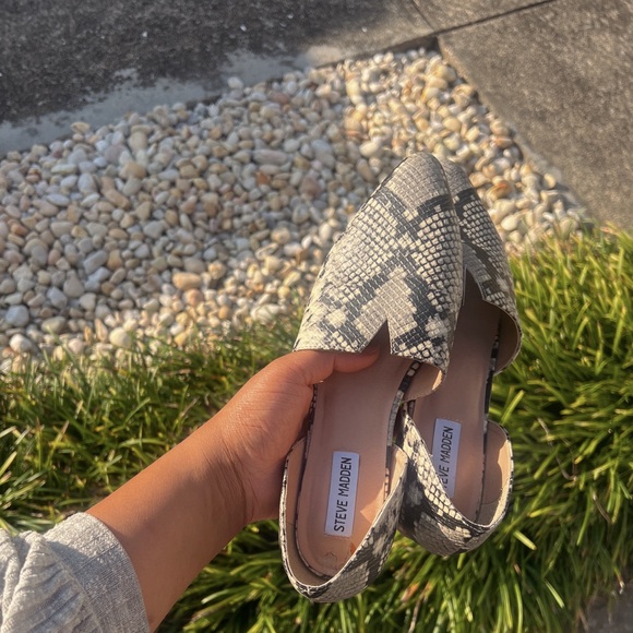 Steve Madden Snake-print Leather Flats - Picture 1 of 6